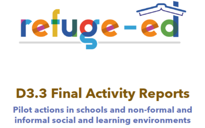 Final activity report